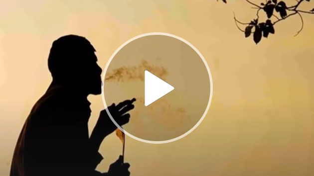 Watch the video